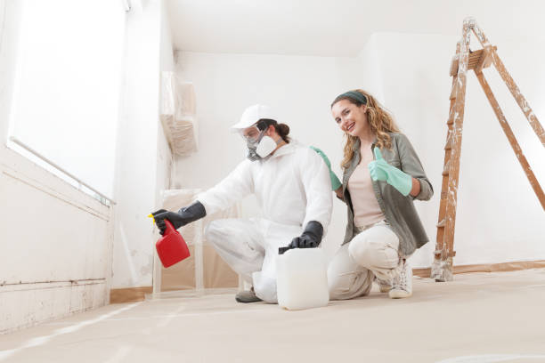  , USA Mold Removal Pros